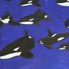 Kari Taylor - @karitaylor10 - TikTok