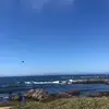 Karii 🦋 - @trippy.karii420 - TikTok