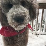 Kari Tyler - @karity32 - Instagram