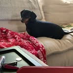 Kari Tyree - Facebook