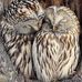 Kari Vaughan - Facebook