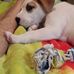Kari Vaughan - Facebook