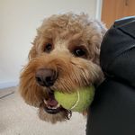 Kari Walters - @kari.walters - Instagram