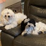 Kari Watson Steed - @karisteed - Instagram