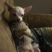 Kari Webber - Facebook