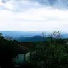 Kari Wilkinson - @kari.wilkinson - TikTok