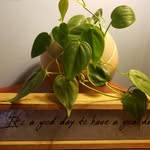 Kari Yoder - @better.with.change - Instagram