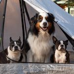 Karie Carter - @auggie.inthe.middle - Instagram