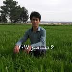 Karim Ameri - @karim.ameri.37 - Instagram