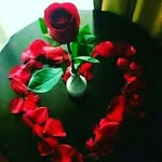 Karim Ayoub - @karim.ayoub.71066 - Instagram