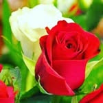 karimbest - @karimbest9428 - Instagram