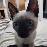 Ka Rim - @karim._bibi - Instagram