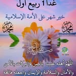 karim bibi - @karimel7650 - Instagram