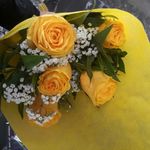 Karimbond - @karimbond - Instagram
