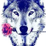 Karim Boyd - Facebook