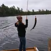 KariMChambers78 - @karimchambers78 - TikTok