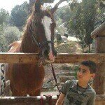 karim faraj - @karim__faraj - Instagram