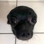 Karim González - @karimgonzalez615 - Instagram