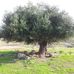 Karim Kari - Facebook