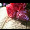 Karim Karim - @karim.karim1909 - TikTok