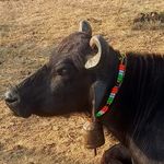 Karim Patel - @karimpatel547 - Instagram
