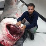 Karim Patel - @karim.patel.33 - Instagram