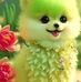 Karim Uddin - Facebook
