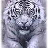 karimafarid656 - @karimafarid656 - TikTok