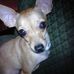 Karin Armstrong - Facebook