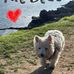 Karin Armstrong - Facebook