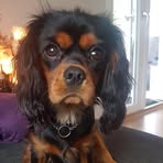 Karin Arnesen - Facebook