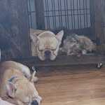 Karin Ballard - @karin_ballard64 - Instagram