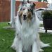 Karin Bennett - Facebook