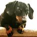 Karin Bennett - Facebook