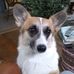 Karin Bennett - Facebook