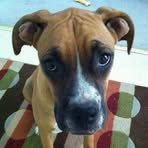 Karin Blankenship - Facebook