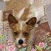 Karin Brenner - Facebook
