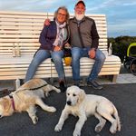 karin brenner - @karinbrenner9 - Instagram