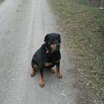 Karin Brenner - @karin.brenner2412 - Instagram