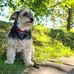 Karin Brenner - Facebook