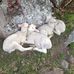 Karin Britts - Facebook