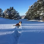 Karin Brown - @karinochice - Instagram