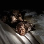 Karin Brown - @karinbrown76 - Instagram
