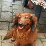 Bruno - @karin_bruno_karin - Instagram