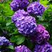 Karin Wasilewski Bryan - Facebook
