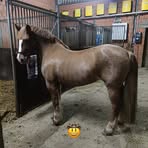 Karin Buchwald - Facebook
