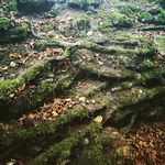 Karin bultmann - @karinbultmann - Instagram