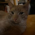 Karin.Bultink - @karin.bultink - Instagram