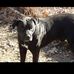 Karen Burdick Schneider - Facebook