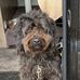 Karin Burdick - Facebook